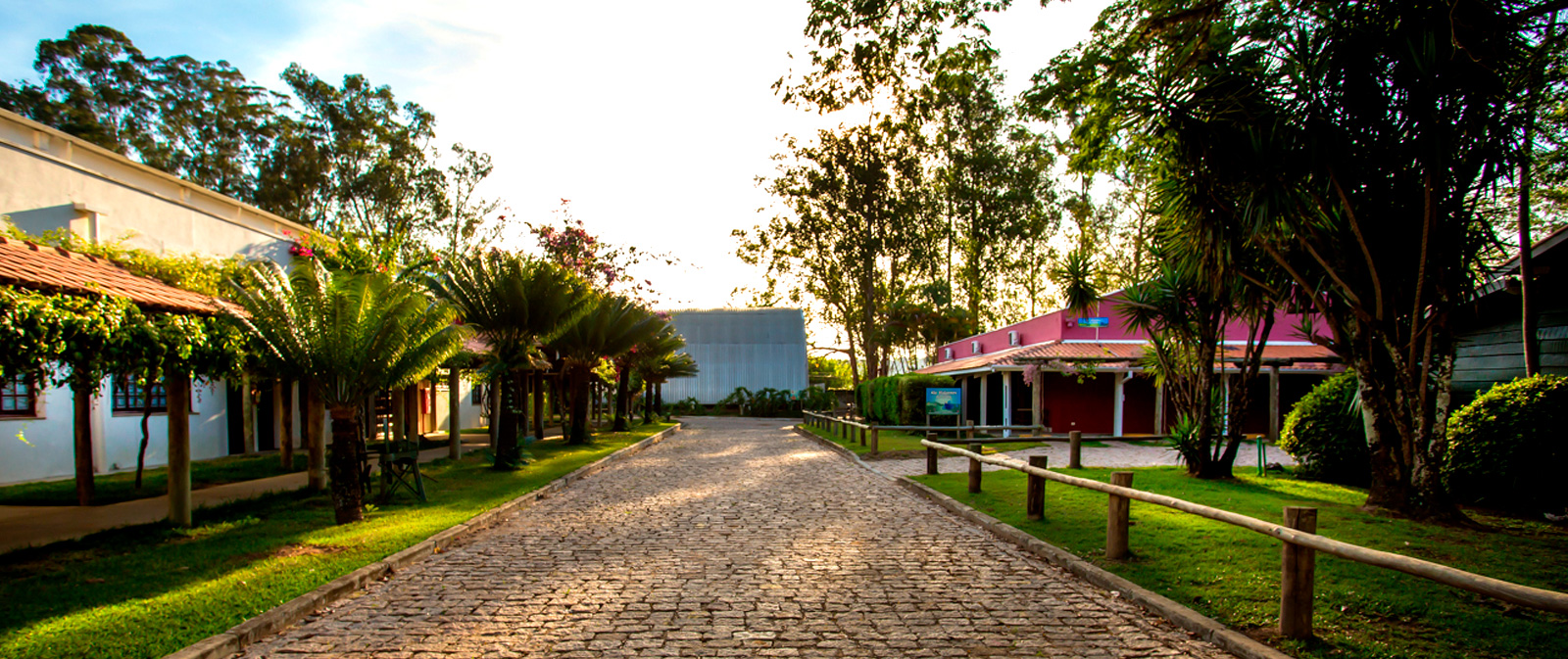 Páscoa 2021 pascoa mazzaropi - Páscoa 2021