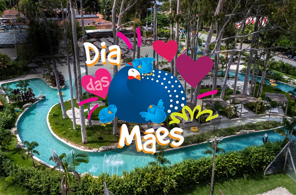 06 - Programação