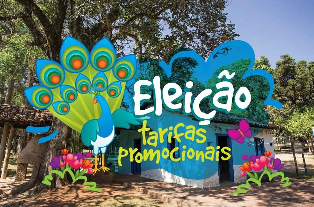 eleicoes 1024x675 - Estive Aqui