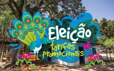 eleicoes 400x250 - Promoções