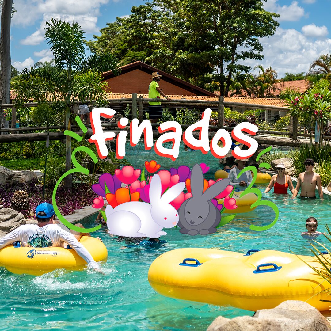 finados - Trenzinho